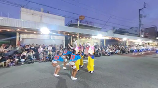 豆狸連
