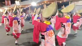 蜂須賀連