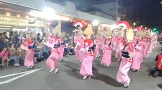 阿波扇
